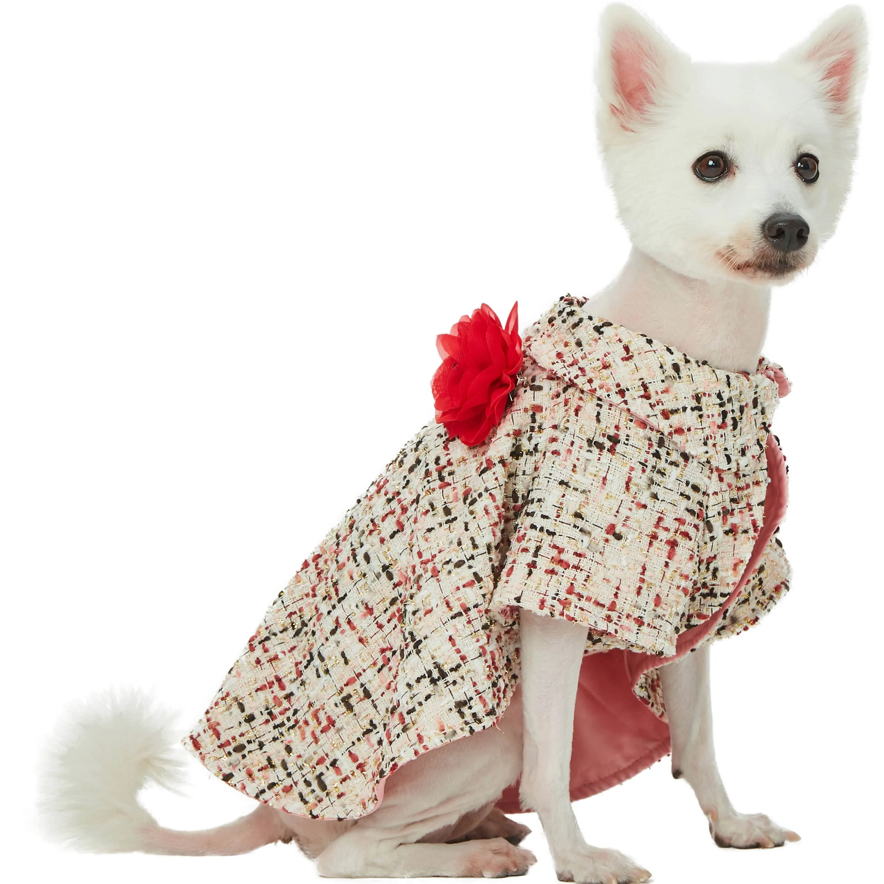 All-weather Costume Dog Poncho with Flower