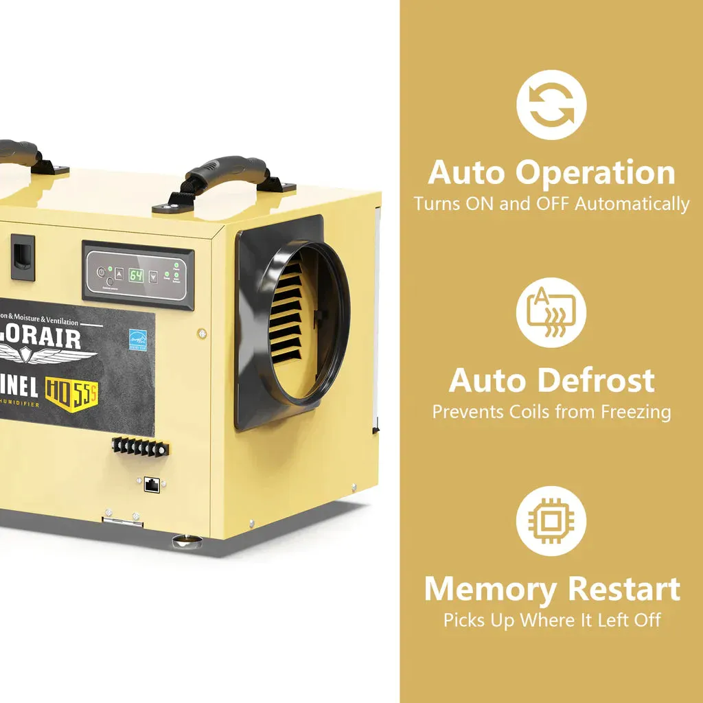 AlorAir Sentinel HD55S 120 PPD Dehumidifier in Gold for Basement, Crawl Space, Commercial Use