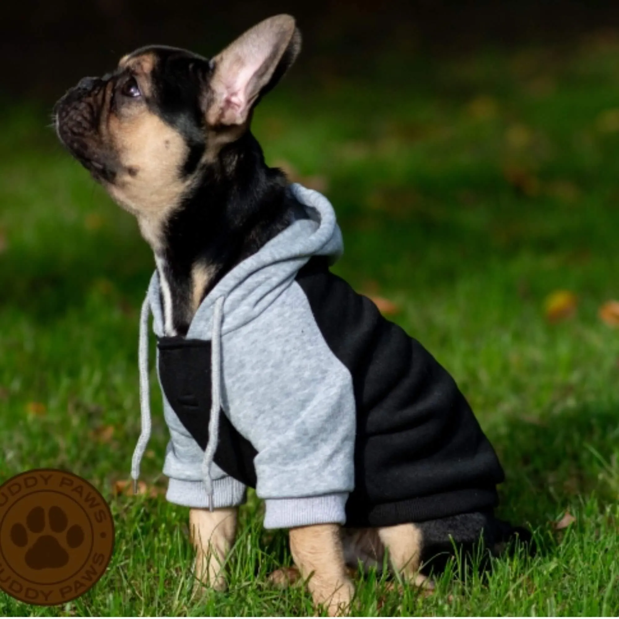 Ancol Muddy Paws Black & Grey Dog Jumper