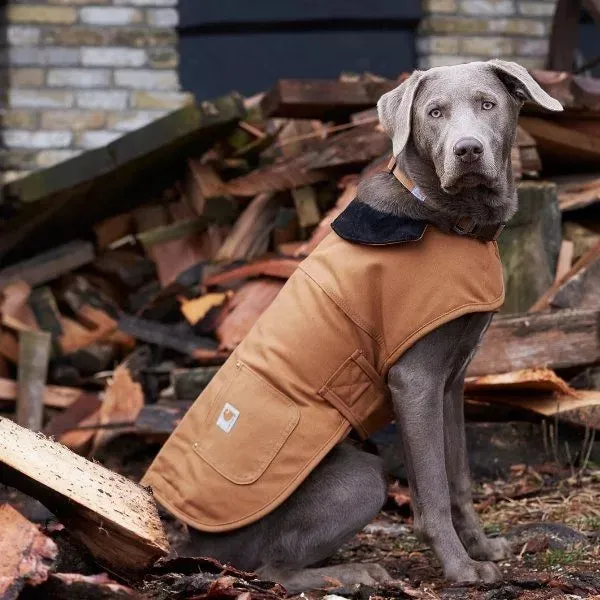 Carhartt Dog Chore Coat - M - Hamilton Brown