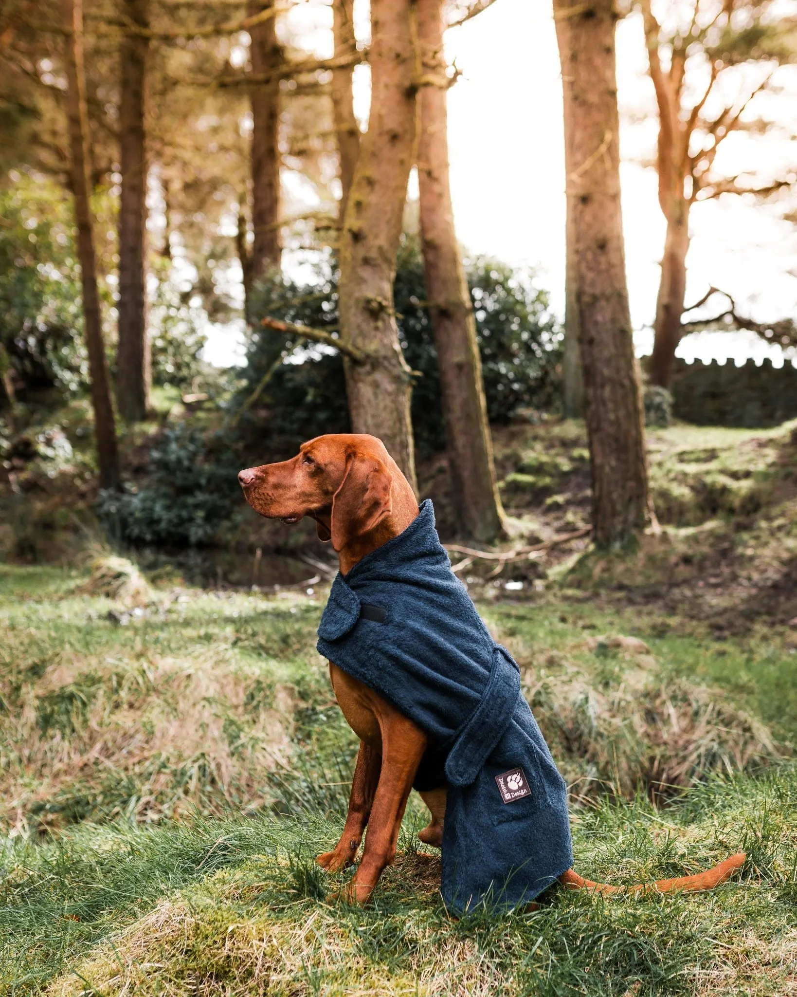 Dog Robe with optional embroidered name