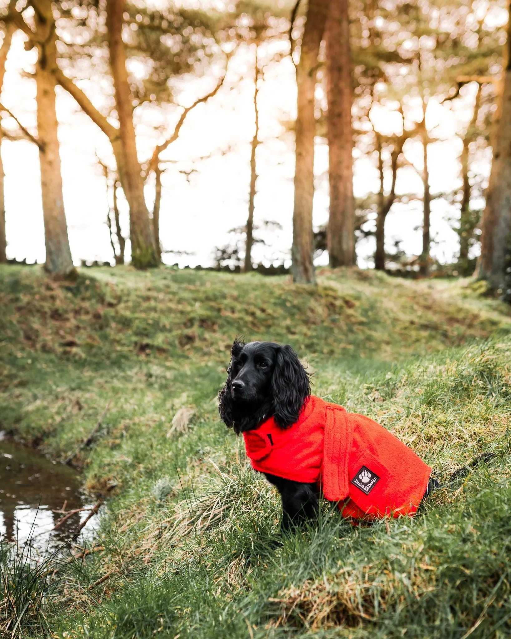 Dog Robe with optional embroidered name