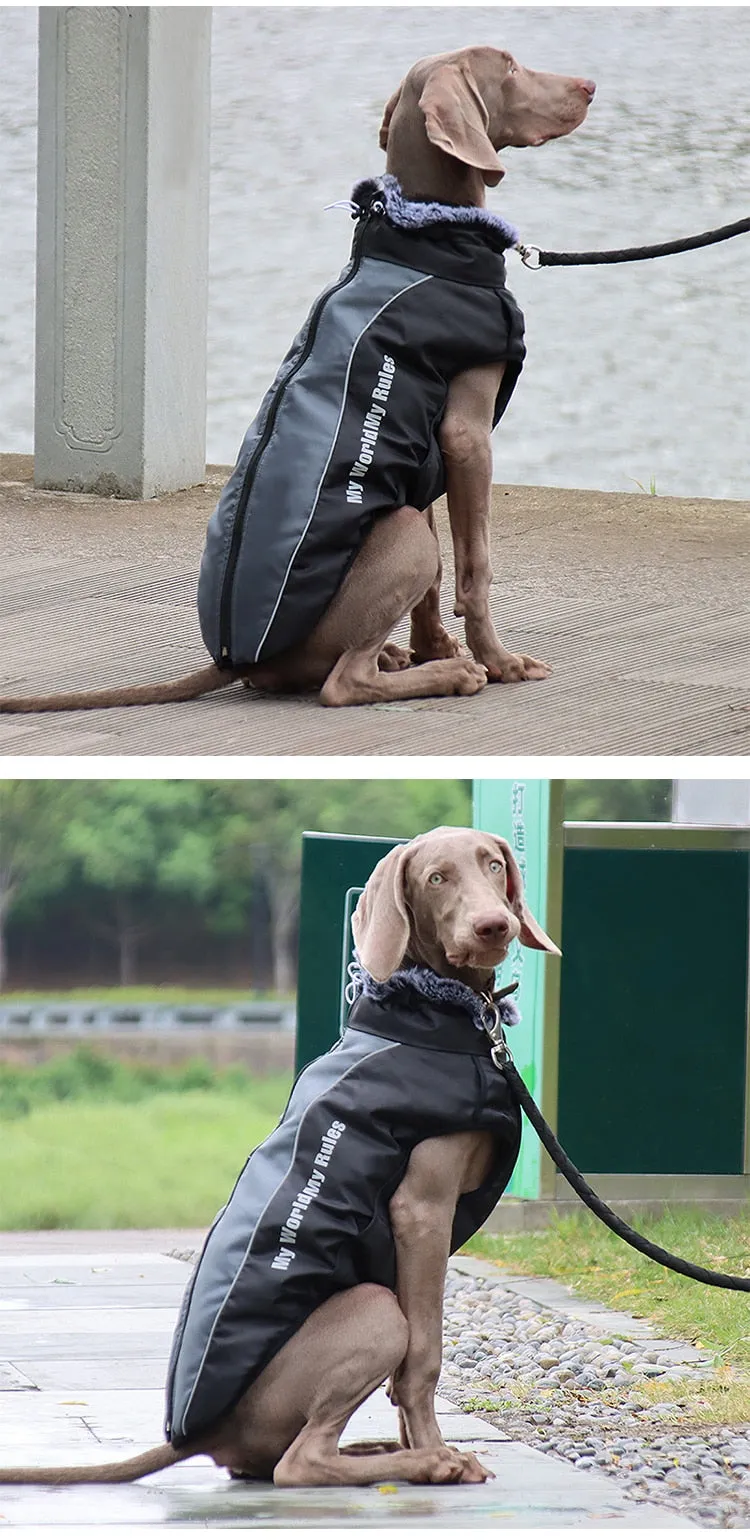 Large Dog Winter Jacket w/ Faux Fur