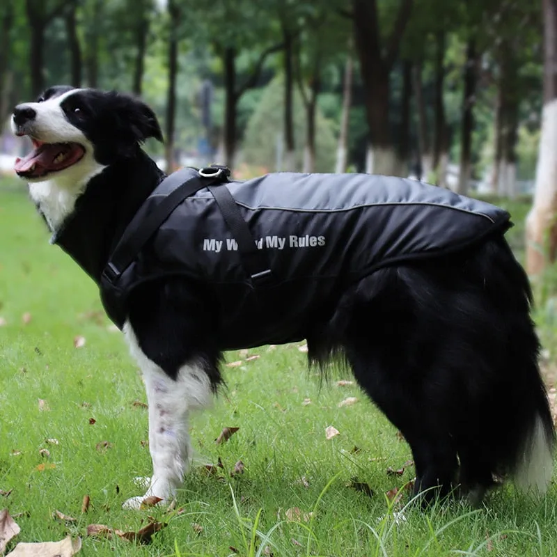 Large Dog Winter Jacket w/ Faux Fur