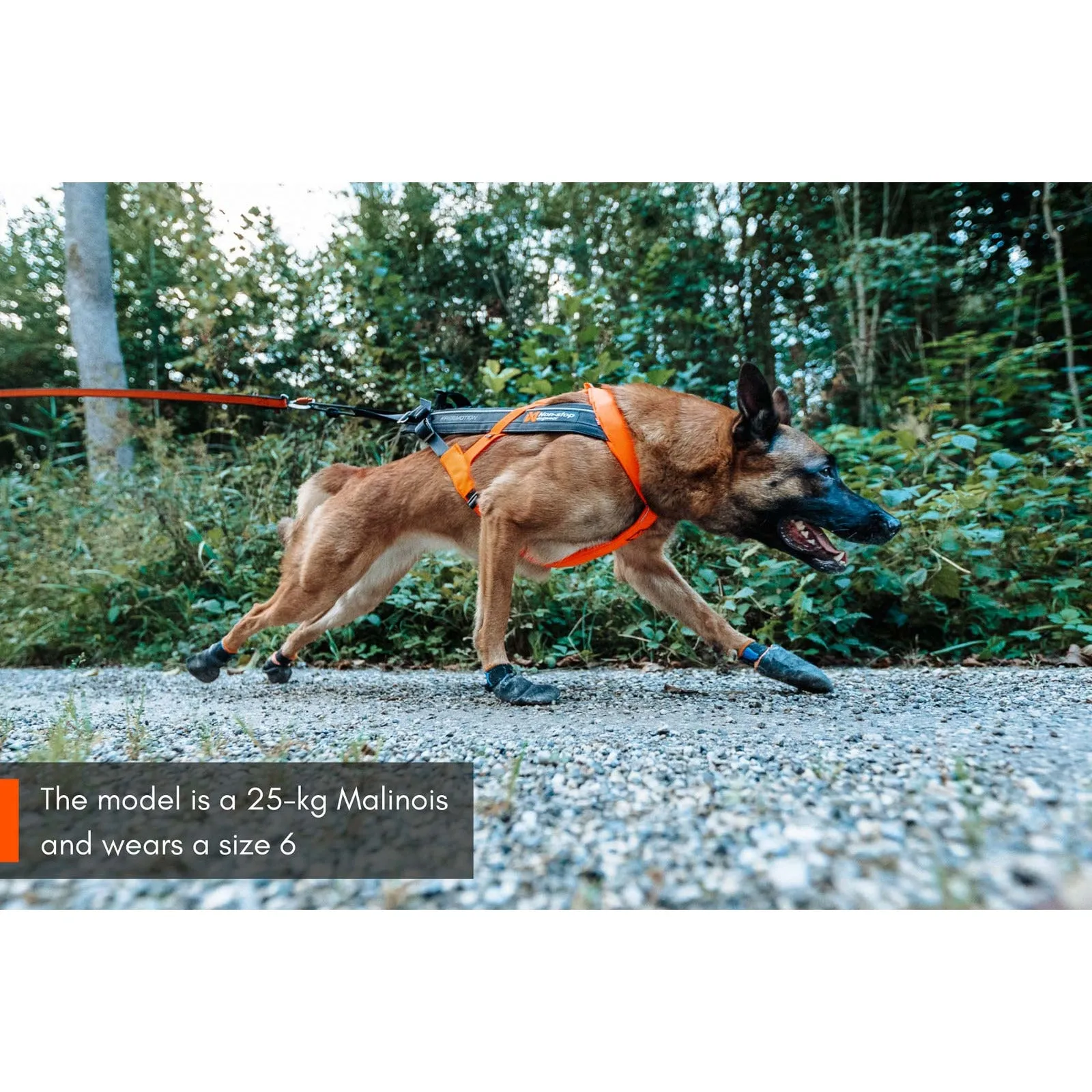 Non-stop Dogwear Freemotion Harness 5.0