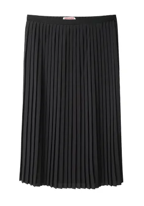 Pleated Skirt