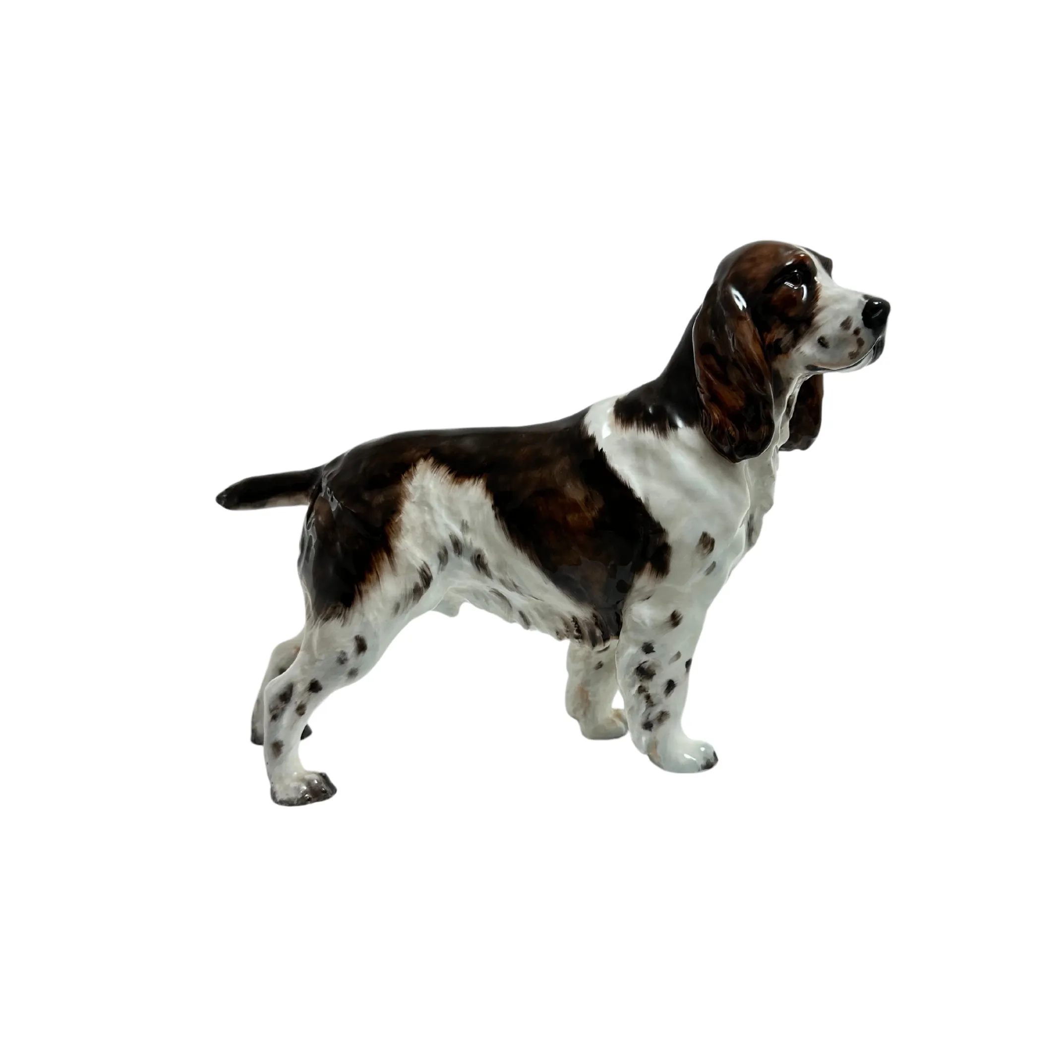 Royal Doulton Springer Spaniel Ch. 'Dry Toast' HN 2515