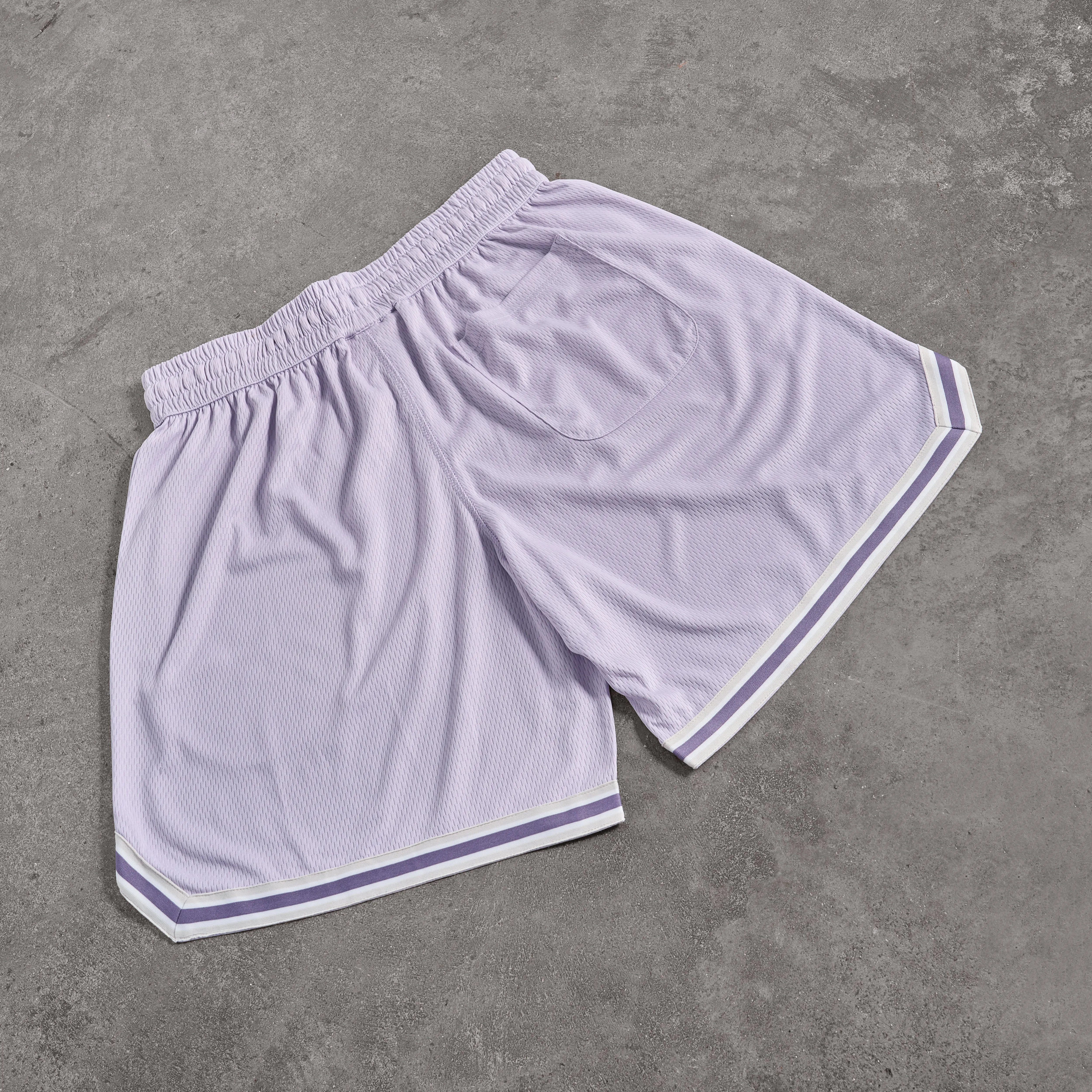 Vanquish Better Than Yesterday Purple Mesh Shorts